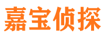 成县市私家侦探